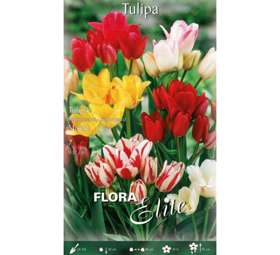 Sodo ir daržo prekės. Sėklos, daigyklos, durpinės tabletės. Gėlių sėklos. Tulpės Tulipa Longstemmed mixed 7sv