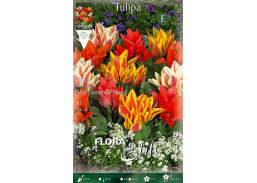Sodo ir daržo prekės. Sėklos, daigyklos, durpinės tabletės. Gėlių sėklos. Tulpės Tulipa M.fl.Shortstemmed mixed 10sv