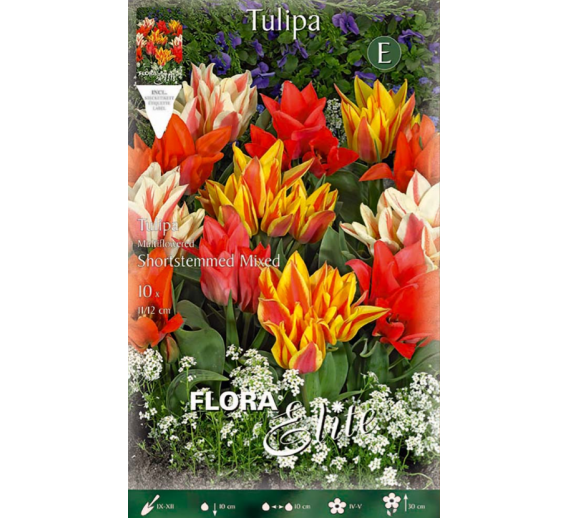 Sodo ir daržo prekės. Sėklos, daigyklos, durpinės tabletės. Gėlių sėklos. Tulpės Tulipa M.fl.Shortstemmed mixed 10sv