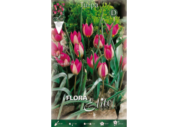 Sodo ir daržo prekės. Sėklos, daigyklos, durpinės tabletės. Gėlių sėklos. Tulpės Tulipa Miscellaneous Persian Pearl 10sv