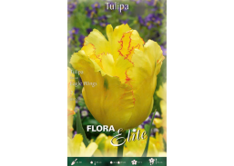 Sodo ir daržo prekės. Sėklos, daigyklos, durpinės tabletės. Gėlių sėklos. Tulpės Tulipa Parrot Eagle Wings 7sv