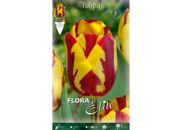 Sodo ir daržo prekės. Sėklos, daigyklos, durpinės tabletės. Gėlių sėklos. Tulpės Tulipa Rembrandt Helmar 7sv