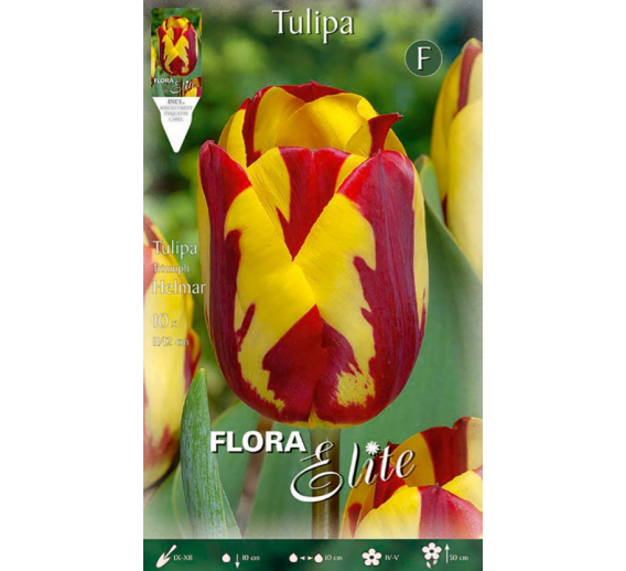 Sodo ir daržo prekės. Sėklos, daigyklos, durpinės tabletės. Gėlių sėklos. Tulpės Tulipa Rembrandt Helmar 7sv