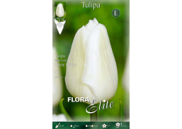 Sodo ir daržo prekės. Sėklos, daigyklos, durpinės tabletės. Gėlių sėklos. Tulpės Tulipa Single Early White Prin 7sv