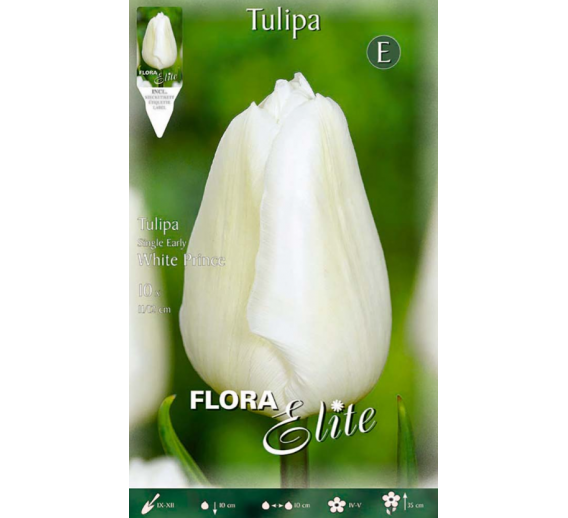 Sodo ir daržo prekės. Sėklos, daigyklos, durpinės tabletės. Gėlių sėklos. Tulpės Tulipa Single Early White Prin 7sv