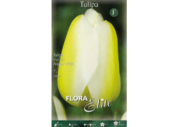 Sodo ir daržo prekės. Sėklos, daigyklos, durpinės tabletės. Gėlių sėklos. Tulpės Tulipa Single Late Angels Wish 7sv