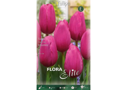 Sodo ir daržo prekės. Sėklos, daigyklos, durpinės tabletės. Gėlių sėklos. Tulpės Tulipa Single Late Yosemite 7sv