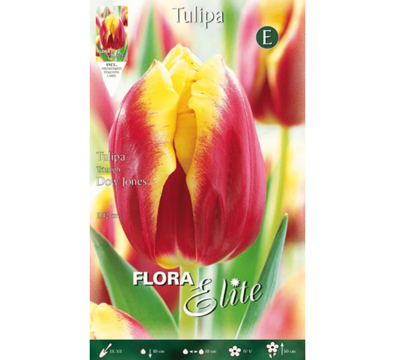 Sodo ir daržo prekės. Sėklos, daigyklos, durpinės tabletės. Gėlių sėklos. Tulpės Tulipa Triumh Dow Jones 7sv