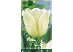 Sodo ir daržo prekės. Sėklos, daigyklos, durpinės tabletės. Gėlių sėklos. Tulpės Tulipa Triumph Agrass White 7sv