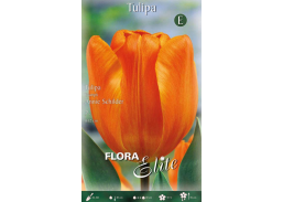 Sodo ir daržo prekės. Sėklos, daigyklos, durpinės tabletės. Gėlių sėklos. Tulpės Tulipa Triumph Annie Schilder 7sv