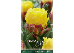 Sodo ir daržo prekės. Sėklos, daigyklos, durpinės tabletės. Gėlių sėklos. Tuplės Tulip Double Late Ice Cream Banana 3sv