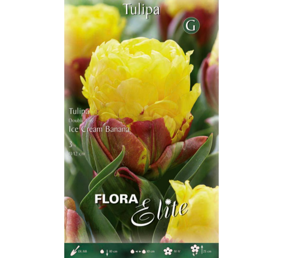 Sodo ir daržo prekės. Sėklos, daigyklos, durpinės tabletės. Gėlių sėklos. Tuplės Tulip Double Late Ice Cream Banana 3sv
