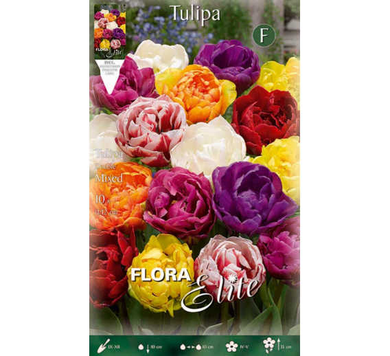 Sodo ir daržo prekės. Sėklos, daigyklos, durpinės tabletės. Gėlių sėklos. Tuplės Tulip Double Mixed 7sv