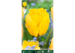 Sodo ir daržo prekės. Sėklos, daigyklos, durpinės tabletės. Gėlių sėklos. Tulpės Tulipa Fringed Crystal Star 7sv