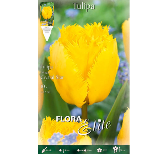 Sodo ir daržo prekės. Sėklos, daigyklos, durpinės tabletės. Gėlių sėklos. Tulpės Tulipa Fringed Crystal Star 7sv