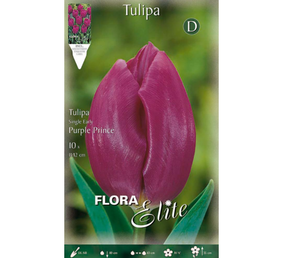 Sodo ir daržo prekės. Sėklos, daigyklos, durpinės tabletės. Gėlių sėklos. Tuplės Tulipa SE Purple Prince 7sv