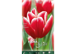 Sodo ir daržo prekės. Sėklos, daigyklos, durpinės tabletės. Gėlių sėklos. Tuplės Tulipa Triumh Vampire 7sv