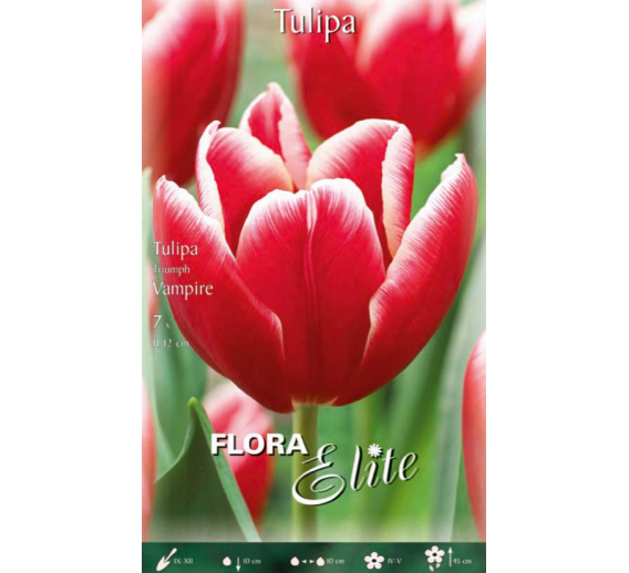 Sodo ir daržo prekės. Sėklos, daigyklos, durpinės tabletės. Gėlių sėklos. Tuplės Tulipa Triumh Vampire 7sv