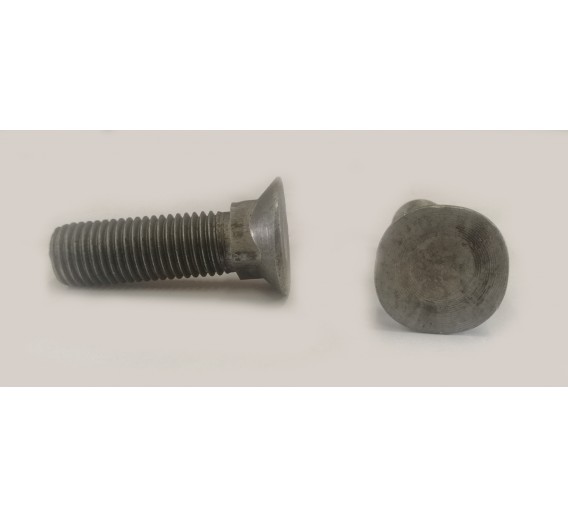 Tvirtinimo detalės. Varžtai. Varžtai DIN605. Varžtas DIN605, plūginis M16x55 