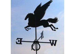 Namų apyvokos prekės. Vėjarodės. Vėjarodė Pegasas  