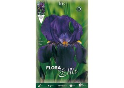 Vilkdalgiai Iris germanica blue 1 sv. 