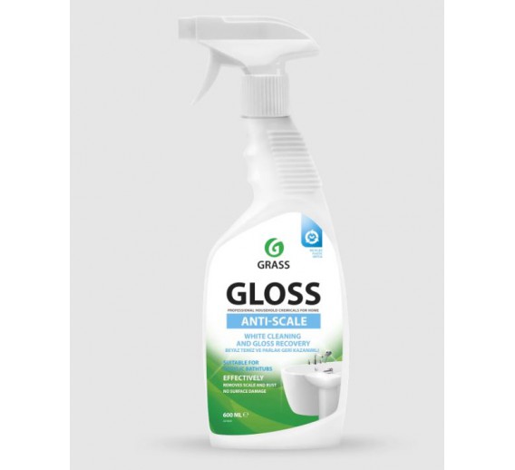 Švaros prekės. Buitinė chemija, valikliai. Vonios valiklis Gloss 600 ml 