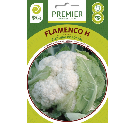 Sodo ir daržo prekės. Sėklos, daigyklos, durpinės tabletės. Kopūstų sėklos. Žiediniai kopūstai FLAMENCO 20s 