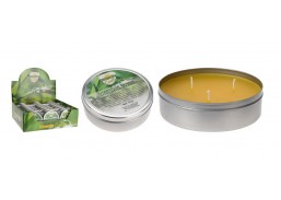 Sodo ir daržo prekės. Laisvalaikio prekės. Apsauga nuo uodų ir erkių ar kt.. Žvakė nuo uodų Citronella 170g 